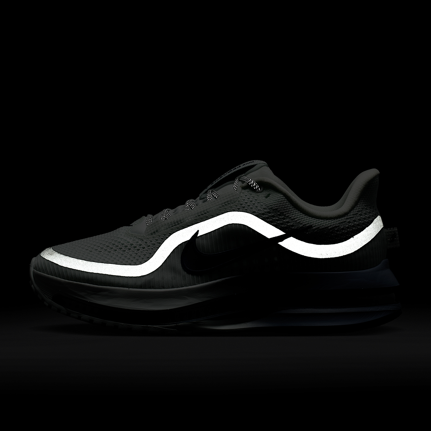 Sepatu lari profesional wanita - Women Shoes Running Nike ulasan dan harga